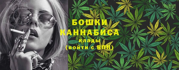 ГАЛЛЮЦИНОГЕННЫЕ ГРИБЫ Бугульма