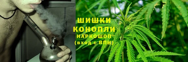 дурь Богородицк